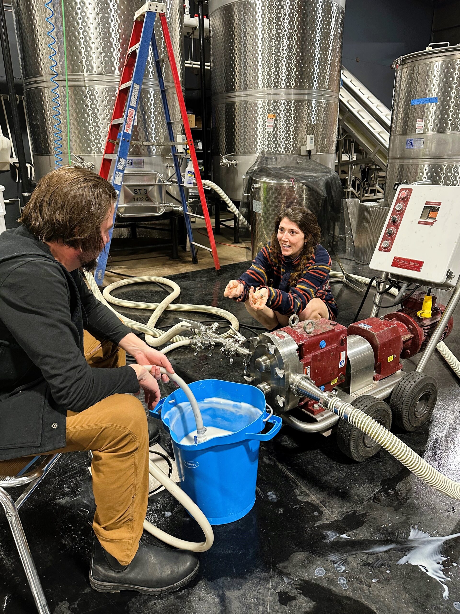 White Wine Fining